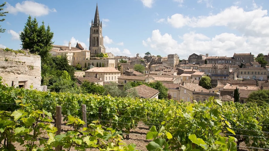 France to pay €120 million to uproot 30,000 hectares of vineyards