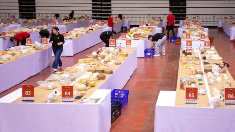 World Cheese Awards 2024