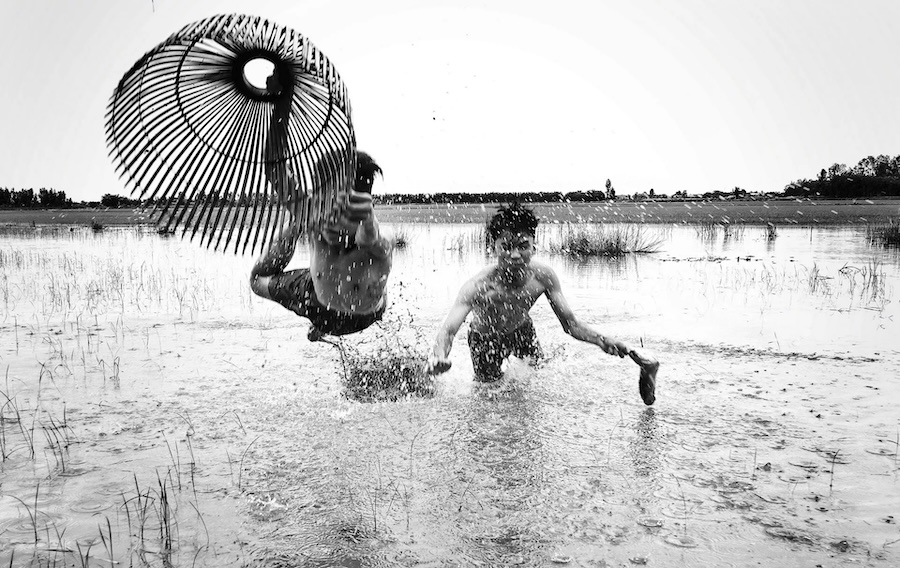 3-Net Fish in Water Fields by Chang Jiangbin
