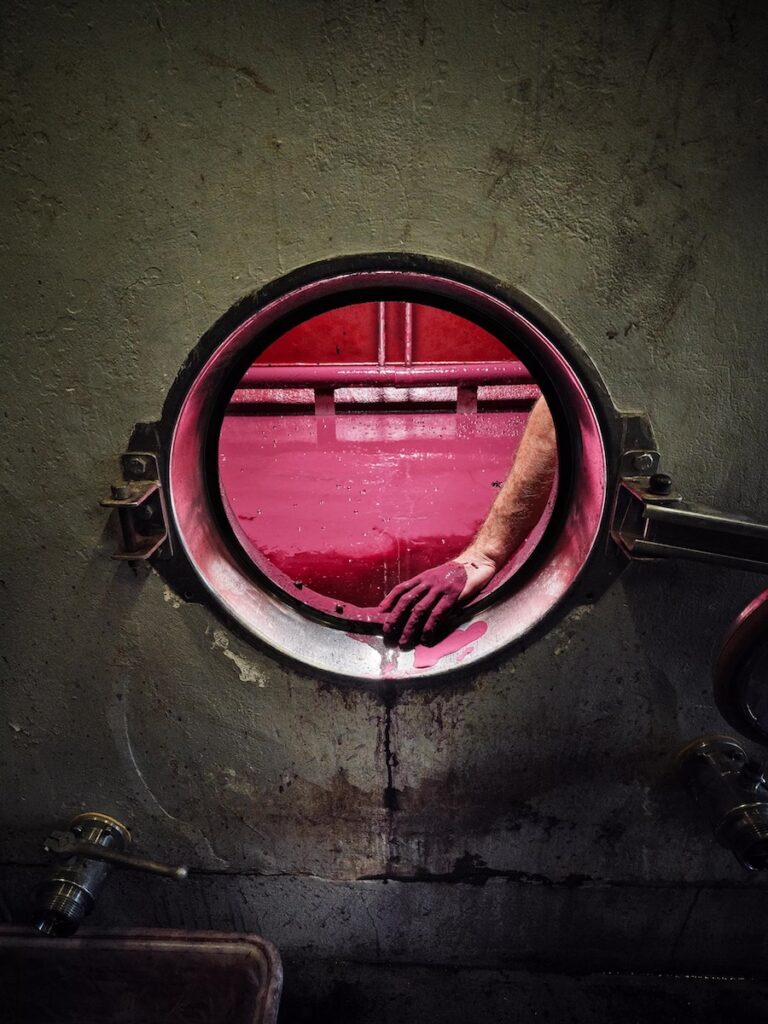 4-The Hand in the Vat by Franck Tremblay