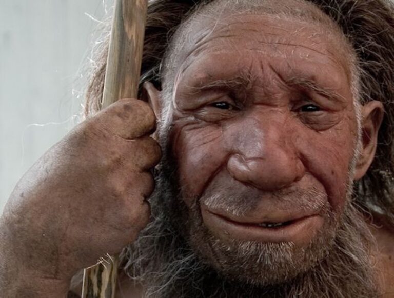 мисливці збирачі і м‘ясо косулі у вакуумному пакеті