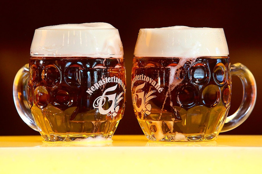 Zlatý pohár Pivex 2026